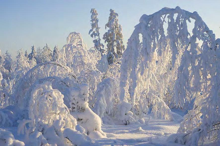 Tieokas yhtyy kaikilta osin täydellisesti seuraavassa