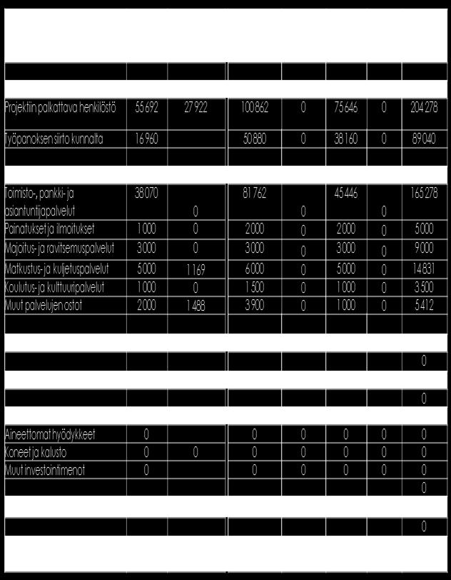 Sivu 29 / 75 Taulukko 11. Kainuun osahankkeen toteuma ajalta 1.3. - 31.12.