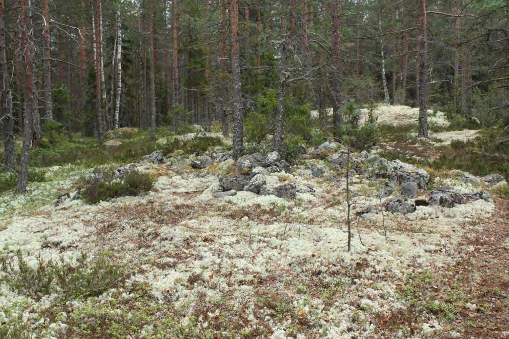 3 Kauhava Ojanpäänkorpi 1 Perustiedot Muinaisjäännöslaji kiinteä muinaisjäännös Muinaisjäännöstyyppi kiviröykkiö Ajoitus esihistoriallinen Rauhoitusluokkaehdotus 2 Koordinaatit (ETRS TM35)