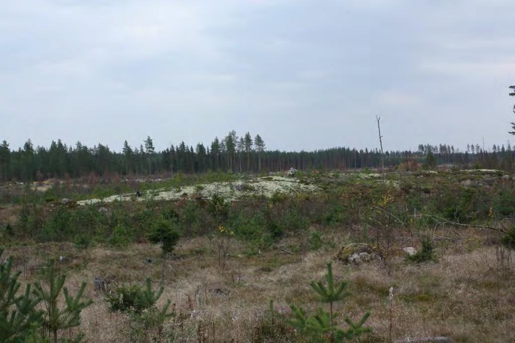 Pieni kiveys kalliolla, lounaasta.