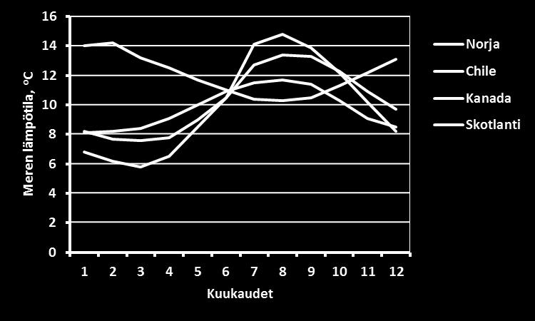 Parhaimmat kasvatusolosuhteet ovat pohjoisilla ja eteläisillä merivyöhykkeille ja tuotanto keskittyy sen vuoksi Pohjois-Eurooppaan, Pohjois-Amerikkaan ja Chileen.