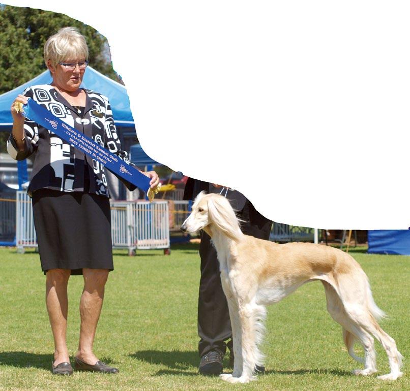 alla Lokakuussa 2014 Lena valitsemassa BIS-voittajaa Mildurassa, Australiassa.