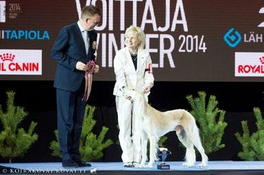 Pentuja syntyi seitsemän, ja niiden joukossa oli yksi narttu. 60-luvun alussa oli aputyttönä kennel Guntusissa, joka tunnettiin lähinnä greyhoundiensa ansiosta.