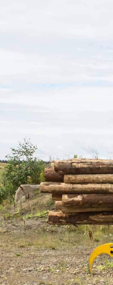 TRAKTORIN METSÄVARUSTEET Ylivoimaista metsäkoneosaamista Kesla Oyj on vahva metsäteknologian kehittäjä, joka valmistaa laadukkaita suomalaisia metsäkoneita jo yli 55 vuoden kokemuksella.