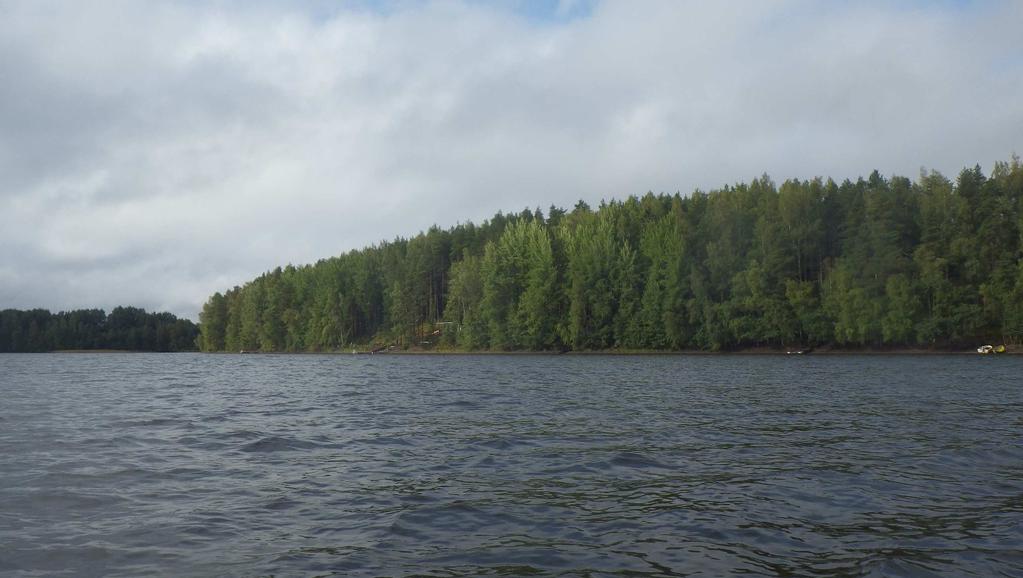 Vekurinjärven tila arvioidaan huonoksi. Tila näyttäisi heikentyneen vuoden 1985 näytetuloksiin verrattuna. 4.3. Vähä-Roine (osa Iso-Roinetta 35.773.1.001; A= n.