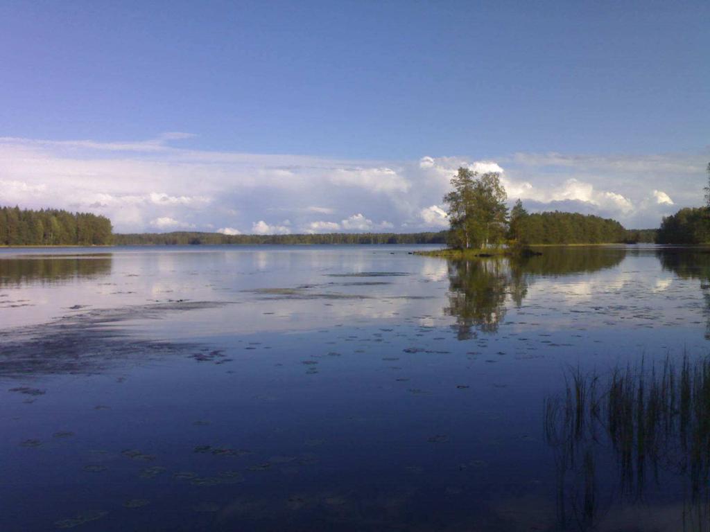 Sameus oli pintavedessä selvää, mikä saattoi liittyä näytteenottotilanteen sateeseen ja myrskyyn. Näkösyvyys jäi 2,6 metriin. Pääosin vesi oli kuitenkin kirkasta eli 1 m-6 m.