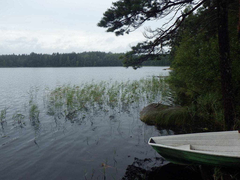 Murhalammi on runsashumuksinen järvi (Rh), jonka kasvukauden aikaiset pintaveden kokonaisfosforipitoisuudet osoittavat erinomaista luokkaa (27 µg/l) ja kokonaistyppi- (755 µg/l) ja