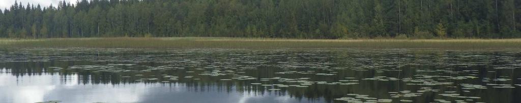 Toki on todennäköistä, että tumma vesi jonkin verran vääristä mittarilla saatua tulosta.