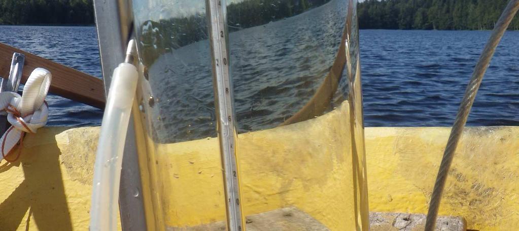 hiekkapohjaista rantaa. Mustalammi (35.886.1.