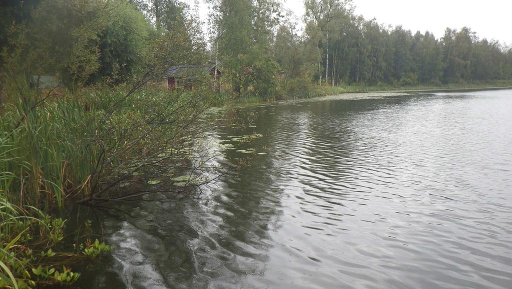 mittarin mukaan. Happea oli pintavedessä luonnollisestikin hyvin. Raitalammin kokonaisfosforipitoisuus oli laskenut vuodesta 1998 ja järven tila on kehittynyt positiiviseen suuntaan.