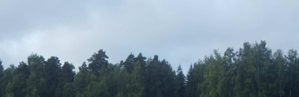 Ojavesinäytteenotto uusittiin keväällä 2014 (8.4.2014).