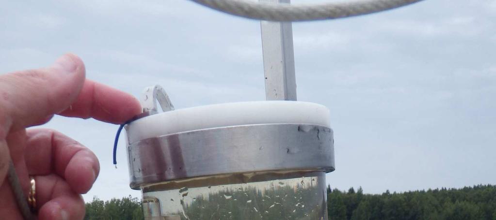 Leheen kasviplanktonia vallitsivat selvityksen mukaan piilevät. Seuraavaksi runsaimpia olivat viher-, nielu- ja kultalevät. Eläinplanktonissa vallitsivat rataseläimet.