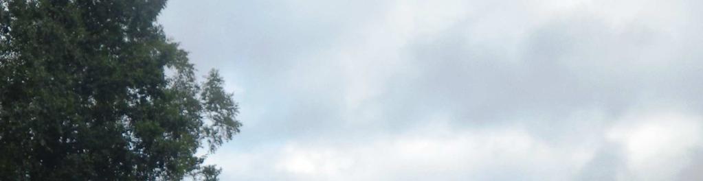 Kaupungin tilauksesta Kokemäenjoen vesistön vesiensuojeluyhdistys otti näytteen 15.3.2012. Tässä tutkimuksessa Pannujärven tilaa tutkittiin mittauksella 26.