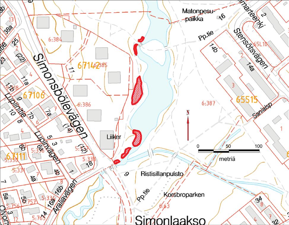 Mielenkiintoisen jättipalsamin torjunnan kannalta alueesta tekee siellä 1990-luvulla tavattu kansallisesti erittäin uhanalainen luhtaorvokki, joka saattaa yhä esiintyä alueella.