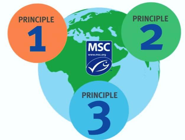 MSC-kriteerit 1. Kalakannan tila Kalastustehon on oltava tasolla, joka on kalakannalle kestävää. 2.