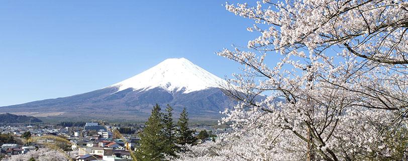 kauniit maisemat Fujille. Matka jatkuu Hakoneen. Edo-kaudella (n.