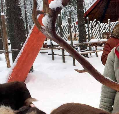 Sertifikaatti ja valokuva Napapiirin ylityksestä Talvinen poroajelu Joulupukin takapihalla täydentyy nyt passilla, joka todistaa matkailijan ylittäneen Napapiirin.