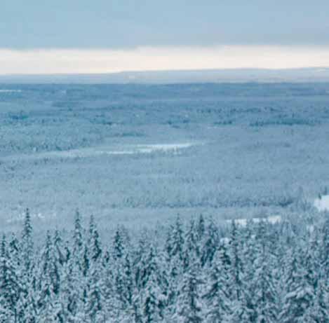 Hiihtokeskuksen rinteiden määrä kasvoi jo yli kymmeneen, kun Tottorakkaan avattiin vapaalaskijoille uusi täyspitkä off-rinne ja Tree Ride Park -metsälaskualue.