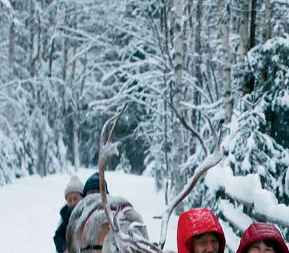 Konttaniemi Reindeer Farm is located only a few minutes drive from the Rovaniemi town centre, but the farm is surrounded by the tranquillity of the snow-laden forest