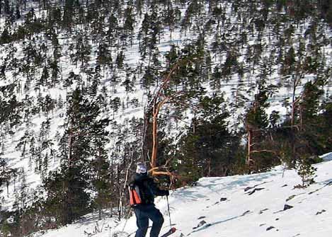 Rovaniemi Airport is 128 kilometres from Pyhä and 114 kilometres from Luosto.