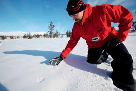 The legendary Jounin Kauppa shop can be found in the Äkäslompolo side of the resort. The distance from Ylläs to Kittilä Airport is 36 kilometres.