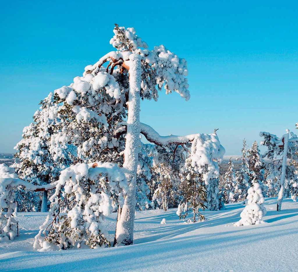 Travel Rovaniemi Travel Lapland Rovaniemen ja Lapin matkailun puolesta jo vuodesta 1992 Kustantaja Polarlehdet Oy Katajaranta 24 96400 Rovaniemi Finland asiakaspalvelu@matka24.