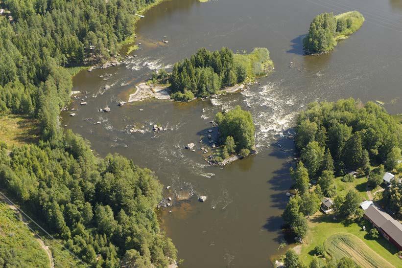 laskureitti Aloittelevan melojan laskureitti Kosket ohittava kantoreitti The canoeing lines of experienced