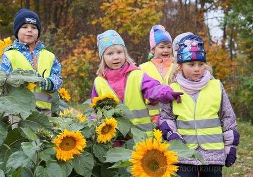 Uudet päiväkodit Mäntykummun päiväkoti 8 ryhmää, 192 hoitopaikkaa, 2 245 brm 2, 7,5 milj., valmistui 2017 Gammelbackan päiväkoti 6 ryhmää, 144 hoitopaikkaa, 1 777 brm 2, 6,1 milj.