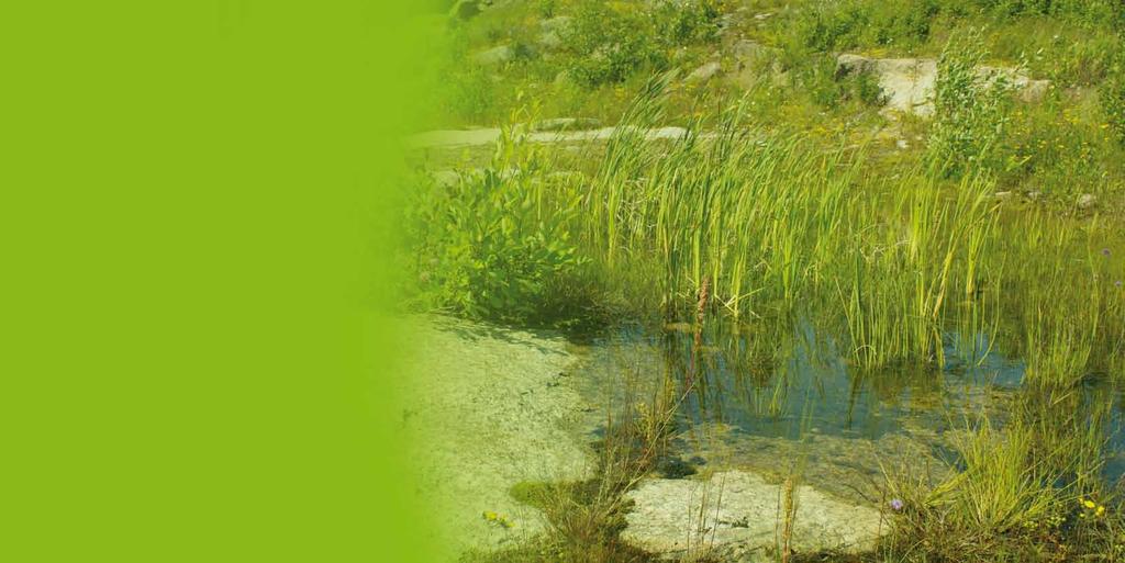 Green + Ympäristön vaikutus kiinteistön arvoon Laadukkaasti rakennetun pihan vaikutus kiinteistöhintaan Suomessa julkaistiin vuonna 2006 Tyrväisen, Lönnqvistin ja Leinon Metlan