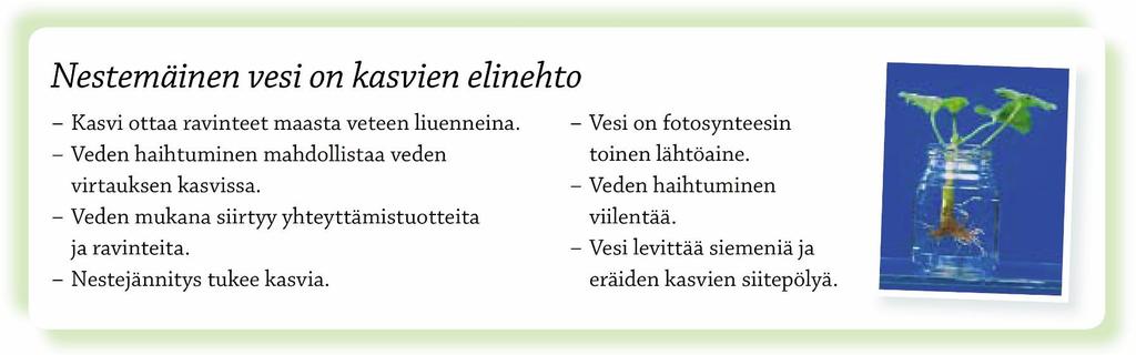 YO-tehtävä, syksy 2002 a) Mihin kasvit tarvitsevat vettä?