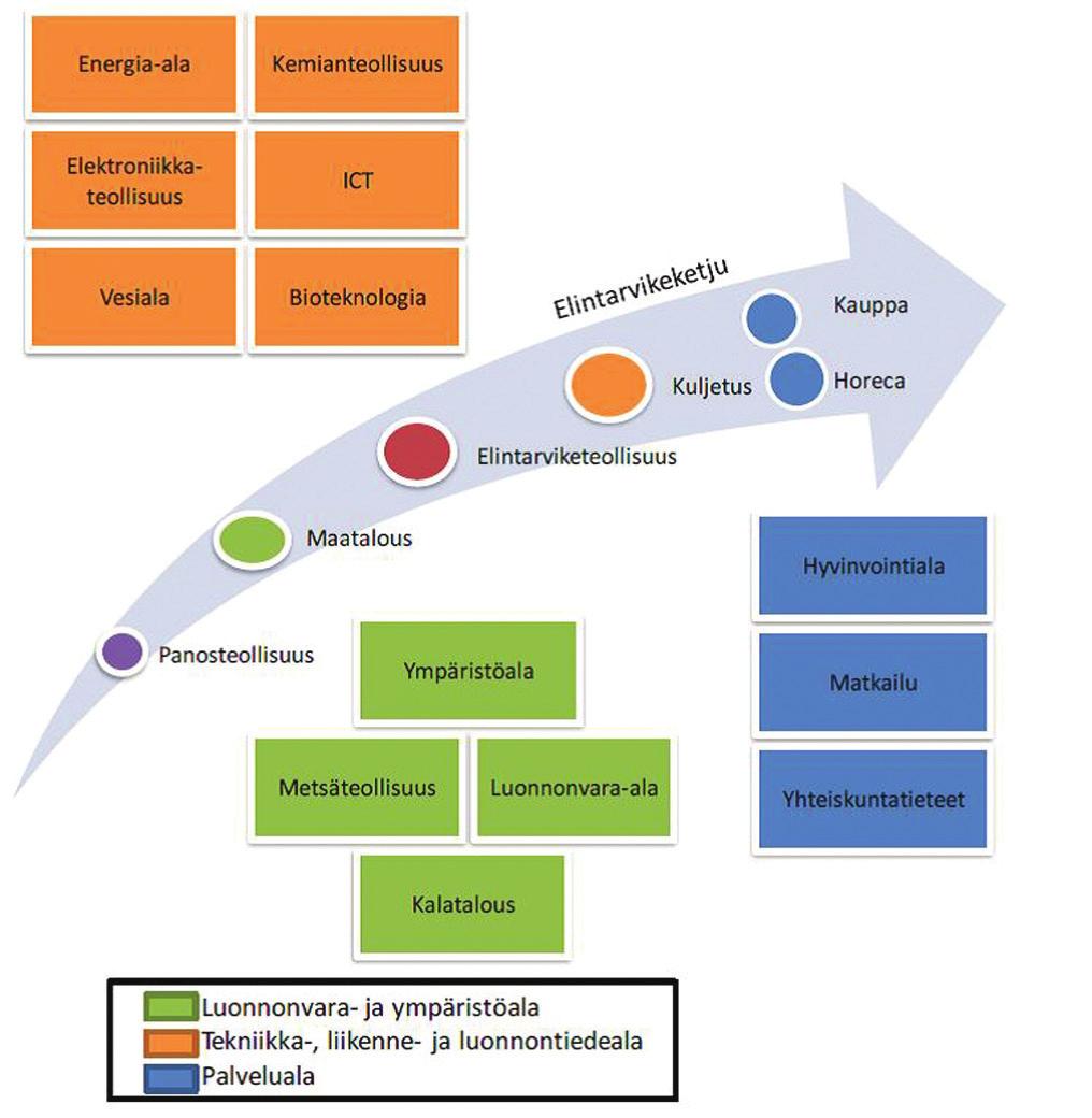 mattomassa roolissa ottaen huomioon ruoantuotannon kokonaisvaikutukset (Virtanen et. al 2009).