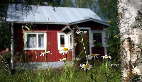 VUOKRATAAN MÖKKI Vuokraisin mökin Ruvaslahti-Oriniemi alueelta noin kuukaudeksi kesä-heinäkuussa.