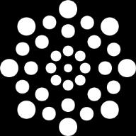 The process dimensions in depth Diversity and Inclusion means early involvement of a wide range of of actors and publics in R&I