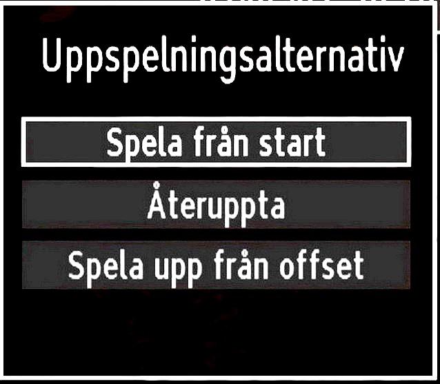 (*) Hur lång tid simultan timeshifting-inspelning pågår beror på den ansluta USB-diskens filstorlek och inställningen av max. timeshift i konfigurationsmenyn för inspelningar.