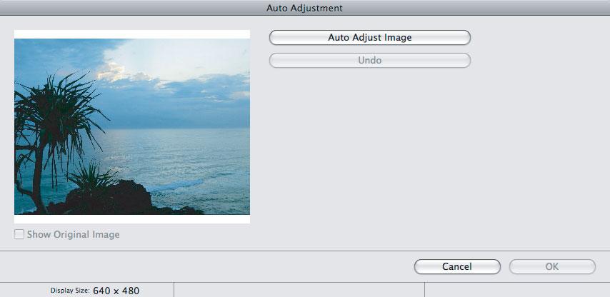 [Auto Adjustment/Automaattinen säätö] -ikkuna Valitse [Image Viewer/Kuvankatselu] -ikkunan alaosassa olevasta