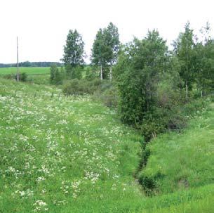 - perinnebiotoopit - luonnon monimuotoisuuden edistäminen - maiseman kehittäminen ja hoito - alkuperäisrotujen kasvattaminen - alkuperäiskasvien viljely - happamuuden alueellinen vähentäminen