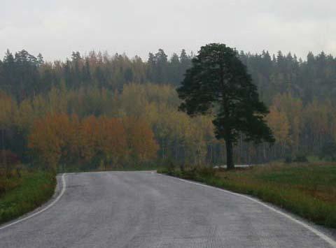 10. Maamerkki Maamerkki on maiseman tunnus, joka olemuksellaan tai sijainnillaan hallitsee maisemaa. Maamerkki helpottaa alueen hahmottamista, alueella orientoitumista ja paikan muistamista.