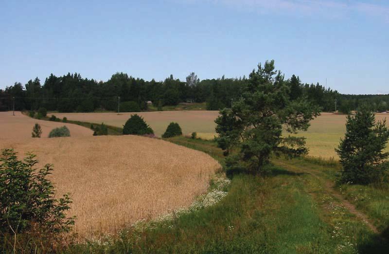 MAISEMAJAKSO 3 Maisemanhoitosuunnitelma Aurajokilaakson kulttuurimaisemaan 0m 1 km 2 km Avoimena pidettävä