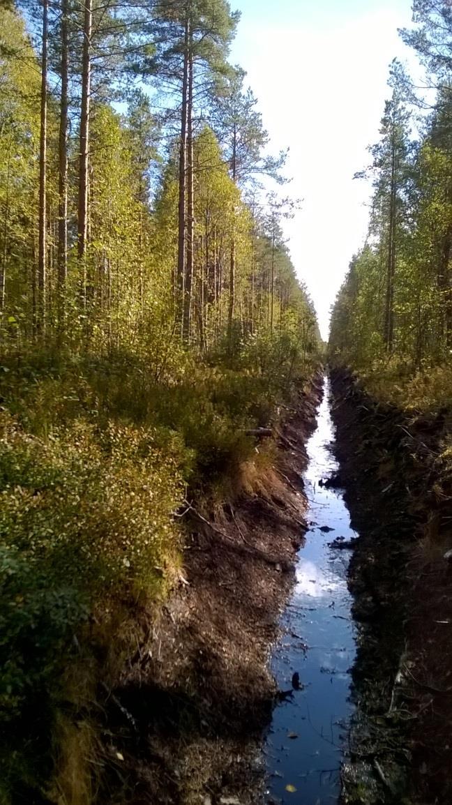 Runsaspuustoisen suon ojitus 6. Kartta-aineisto Kaikki vesiensuojelurakenteet, uoma-analyysi ja valuma-alueet on esitetty seuraavassa 1:20 000 kartoilla.