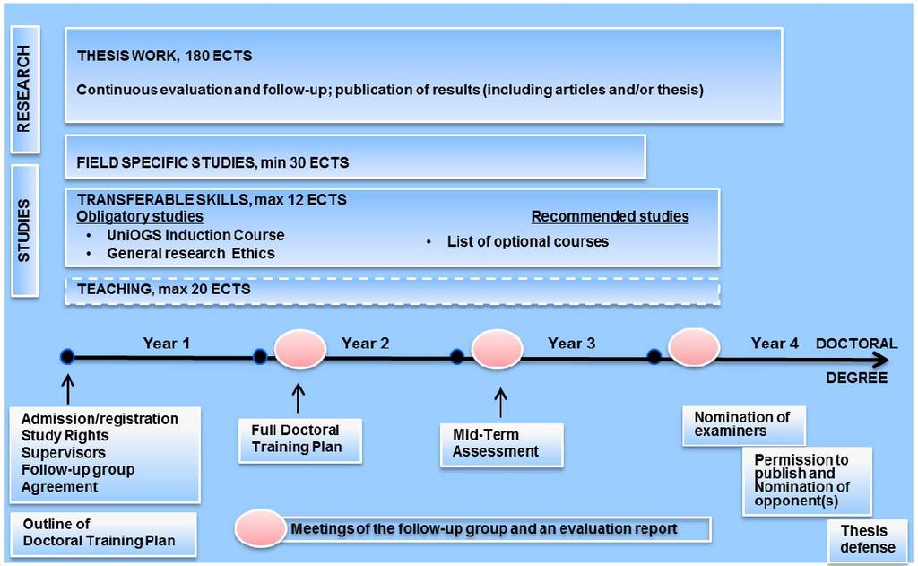 Kuva 2: Esimerkki neljän vuoden tohtorikoulutus ohjelmasta. 4.3 Tohtoriopiskelijan välitavoitteet Opiskelija määrittelee tutkijakoulutuksensa välitavoitteet yhdessä ohjaajansa kanssa.
