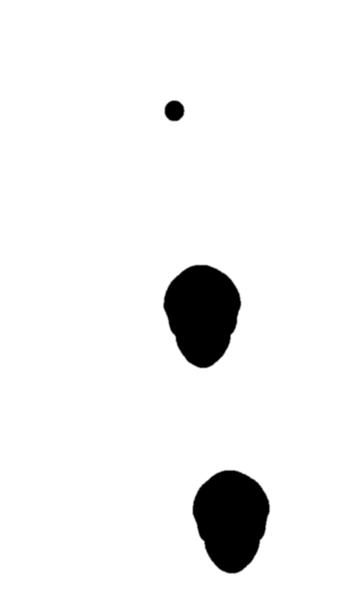 asetelmalla tutkittiin tarkkaavuuden irrottamista eri kasvonilmeistä (emotion preference) tai vieraiden ja tuttujen henkilöiden kasvoista (parent preference) erillisissä tehtäväblokeissa.