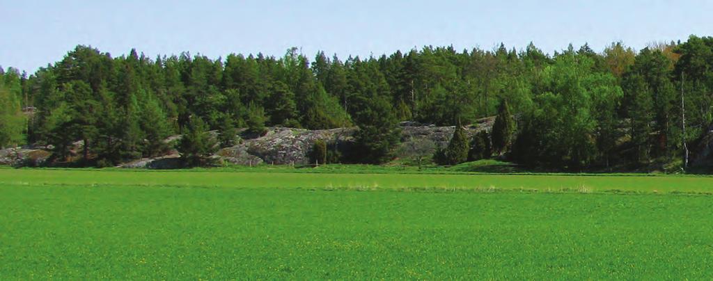 Starane XL Tehokas rikkakasvien torjunta-aine laidun- ja säilörehunurmille Laajatehoinen valmiste nurmille ja laidunmaille Starane XL torjuu yleisimmät leveälehtiset rikkakasvit tehokkaasti