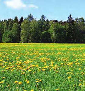 l/ha Laajatehoinen rikkakasvien