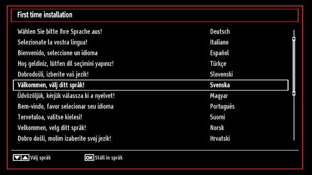 För att spela in ett program måste du först ansluta ett USB-minne till din TV medan TV:n är avstängd. Du ska därefter slå på TV:n för att aktivera inspelningsfunktionen.