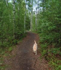 ramenjoen rantoja kiertelevä noin 1,5 km pitkä lontopolk sijaitsee monipolisen lonnon ja klttriympäristön keskellä. Sen lisäksi joen rannoilla on mita lkoilpolkja yhteensä noin 2 km.