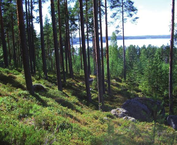 r a m e Kva: arks Leppiniemi ratharjn Natra 2000 -kohde ja lkoilreitti Opetskäyttö Sovelt kangasmetsän ja lehtomaisen kasvillisden sekä harjn geologian opiskeln.