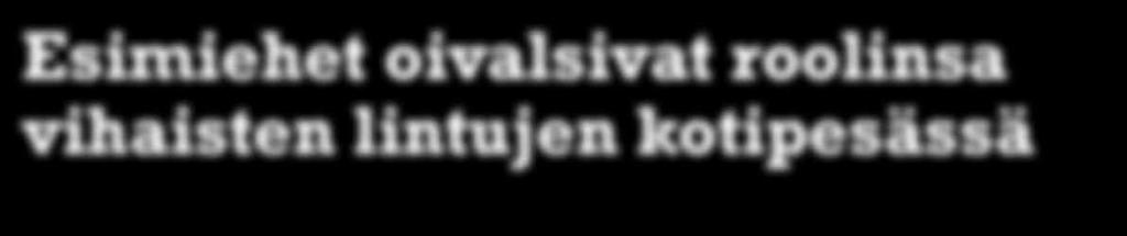 Tapaamisissa tavoitteet muotoillaan konkreettisemmiksi ja niitä käydään yksityiskohtaisemmin läpi.