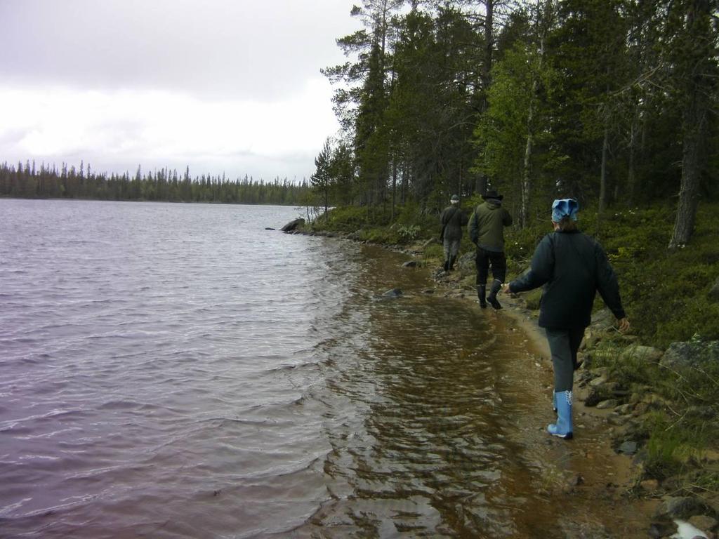 EKOTONI KY KIMMOKAAVA SALLAN KUNTA Palojärvi