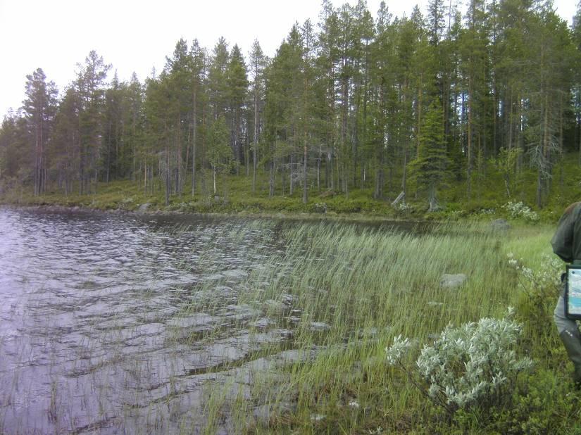 14 Kuva 18. Ylikappaleen lahteen laskeva Kalliojoki on ekologisesti, maisemallisesti ja geomorfologisesti huomionarvoinen. 3.