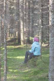 Metsäkylvyt ( shinrin-yoku ) Rauhallista lyhytaikaista kävelyä metsässä